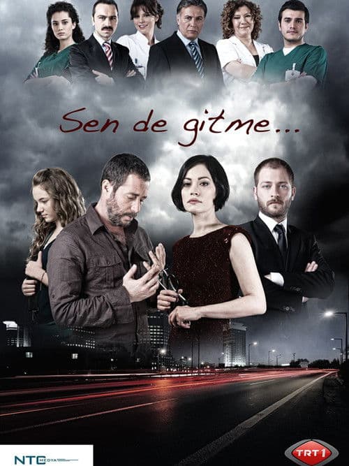 Sen de Gitme (2011) poster