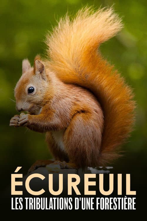 Écureuil : Les Tribulations d'une forestière poster