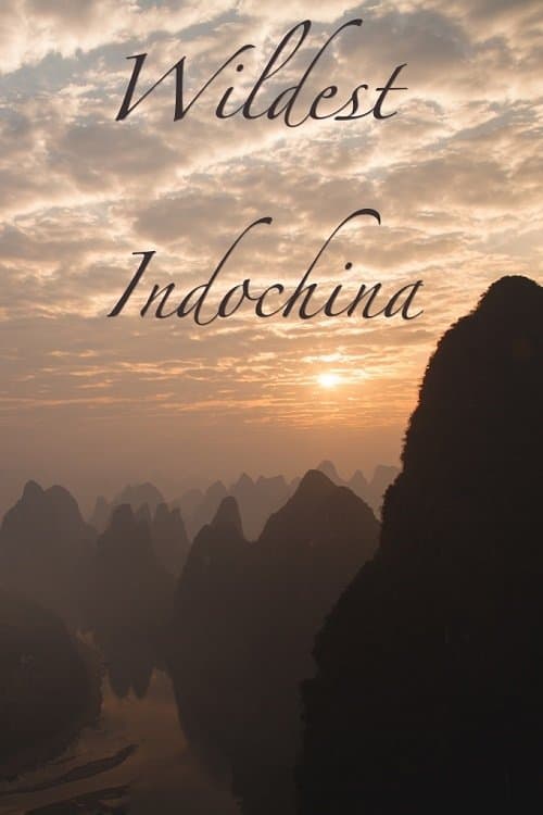 Wildest Indochina (2014) poster