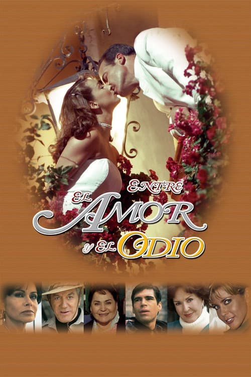 No Limite da Paixão (2002) poster