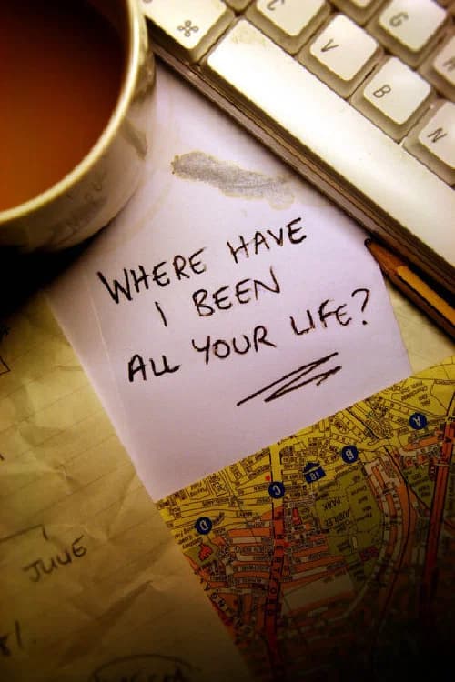 Where Have I Been All Your Life? poster