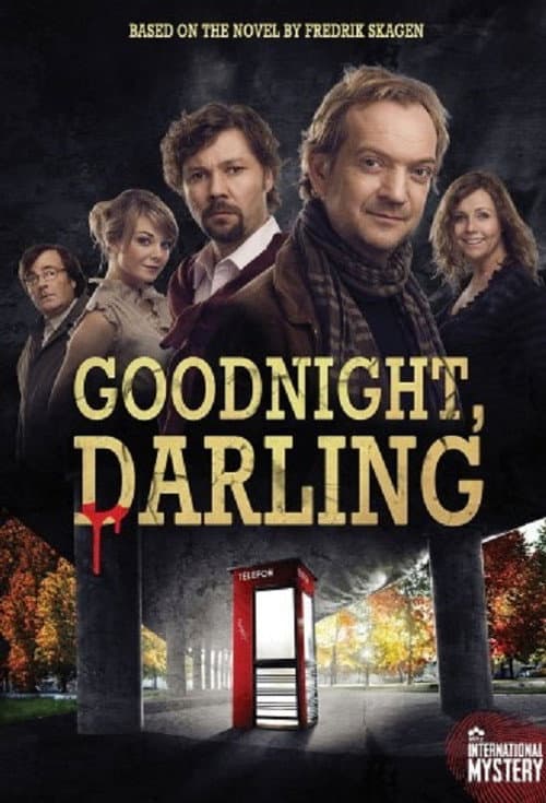 Good Night, Darling (2009) poster