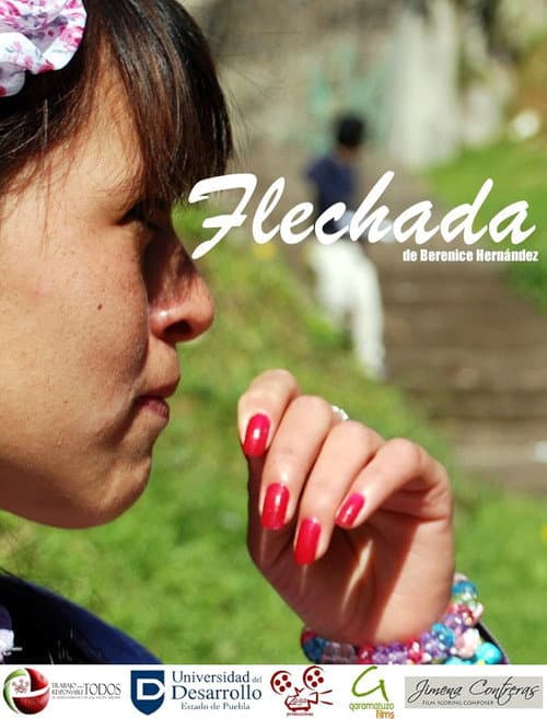 Flechada (2015) poster
