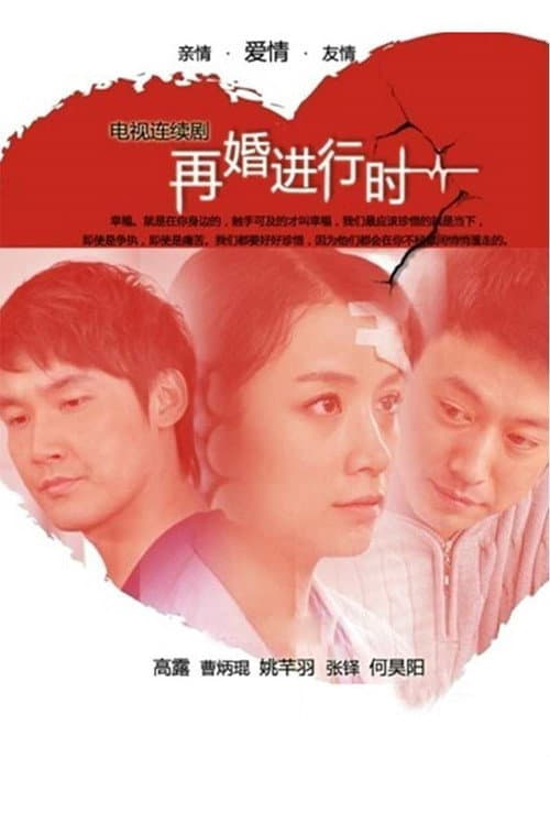再婚进行时 (2011) poster