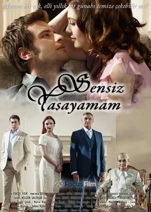 Sensiz Yaşayamam (2010) poster
