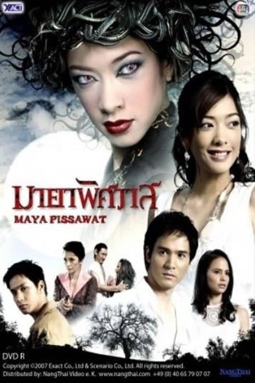 Illusions of Love (2007) poster