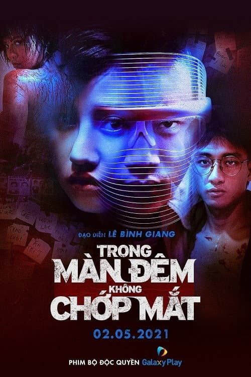 Vietnam True Crimes (2021) poster