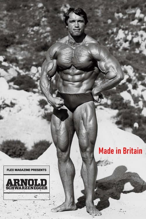 Arnold: Made in Britain (2006) poster