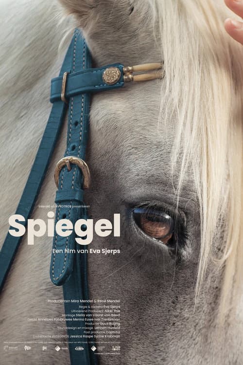Spiegel (2023) poster
