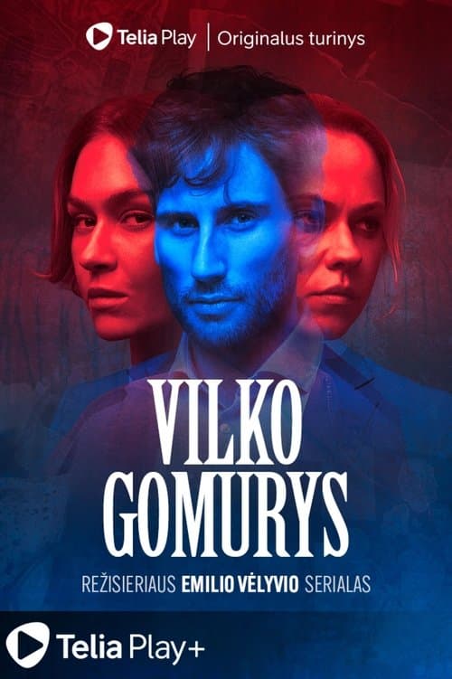 Vilko gomurys (2025) poster