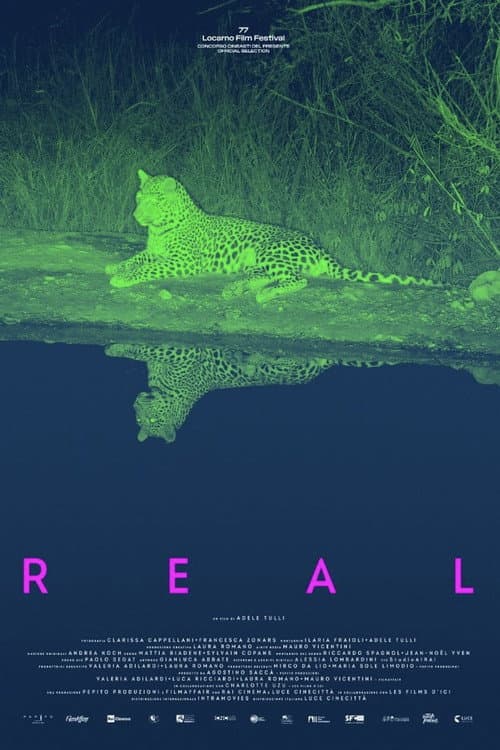 Real (2024) poster