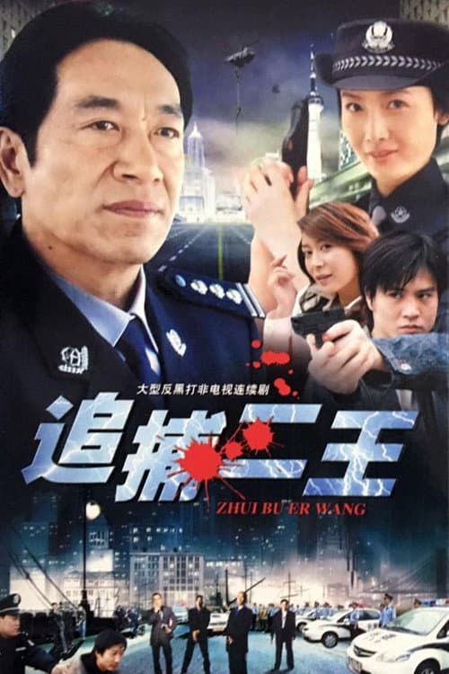 追捕二王 (1994) poster