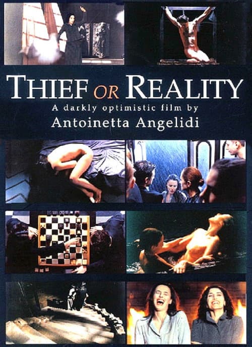 Thief or Reality (2001) poster