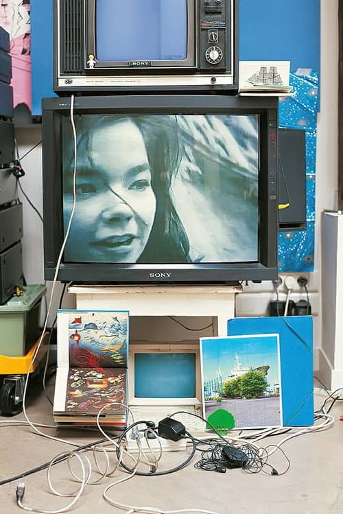 Björk: Vessel 1994 poster