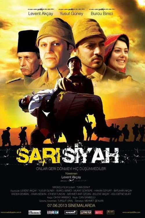 Sarı Siyah (2013) poster