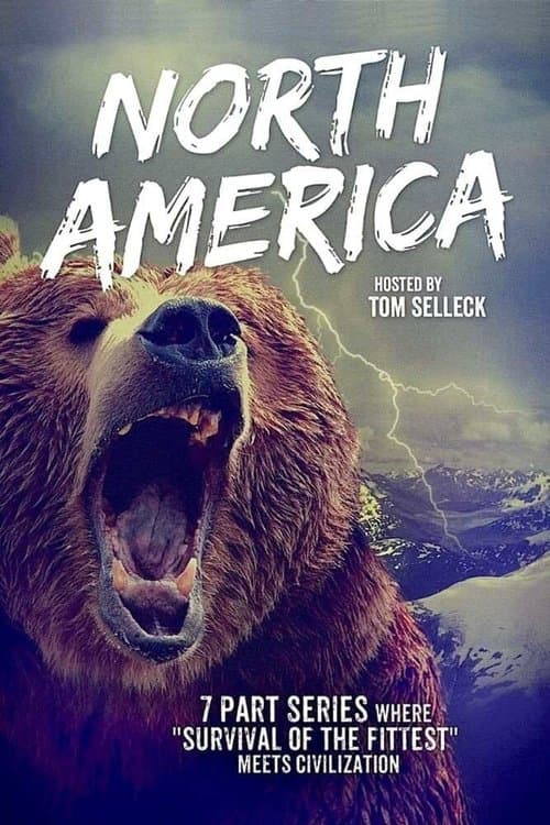 North America (2013) poster