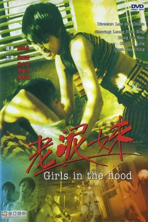 Girls in the Hood (1995) poster