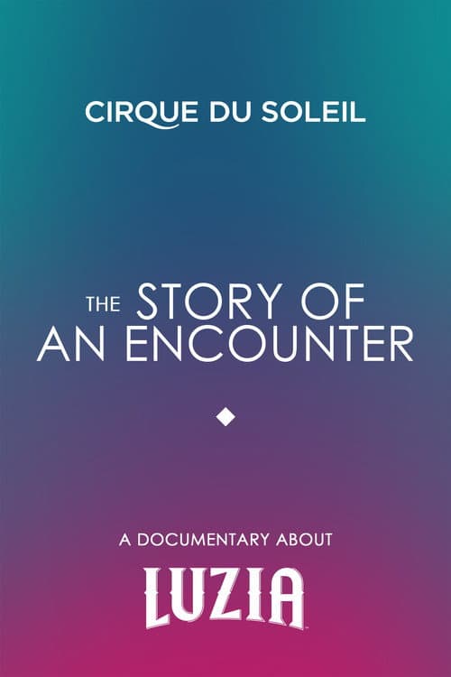 The Story Of An Encounter poster