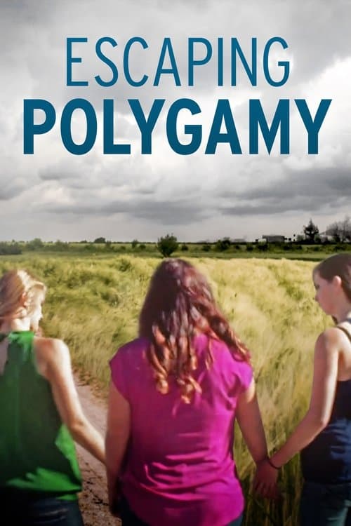 Escaping Polygamy (2014) poster