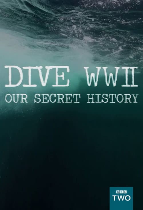 Dive WWII : Our secret history (2013) poster