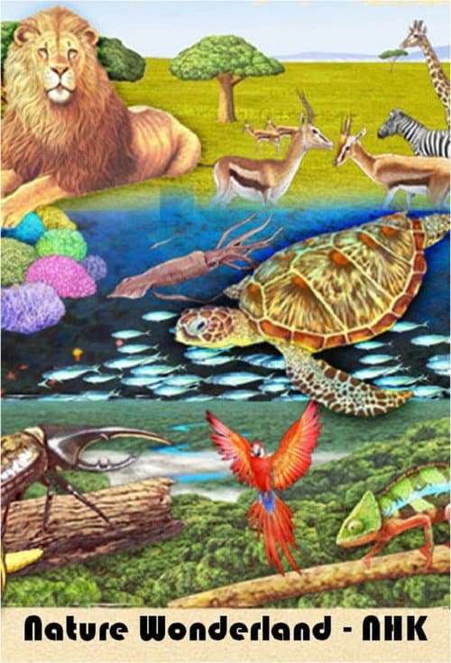 Nature Wonderland(NHK) (2018) poster