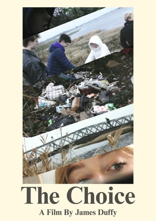 The Choice: Illegal Dumping poster