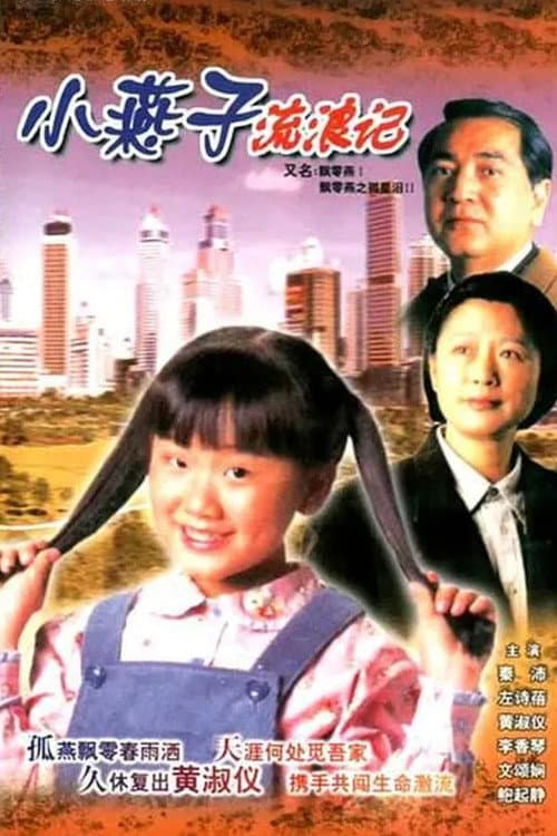 The Little Vagrant Lady (1996) poster