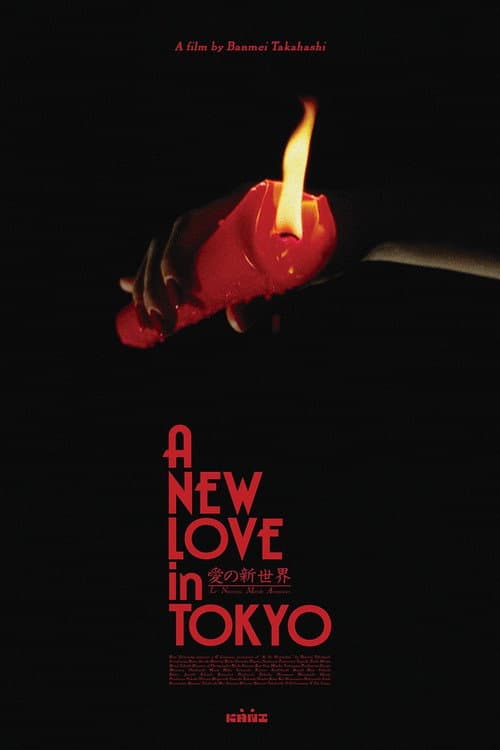A New Love in Tokyo (1994) poster