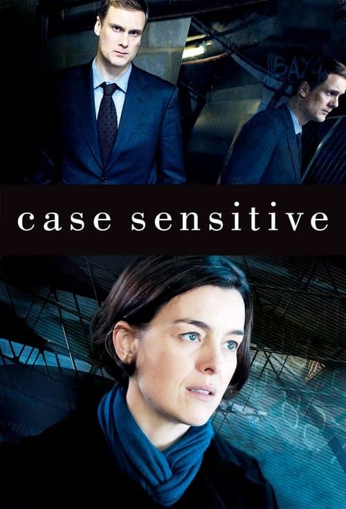 Case Sensitive (2011) poster