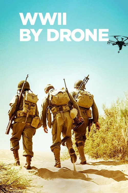 WWII by Drone (2021) poster