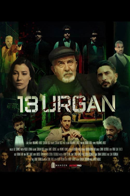 13 Urgan (2024) poster