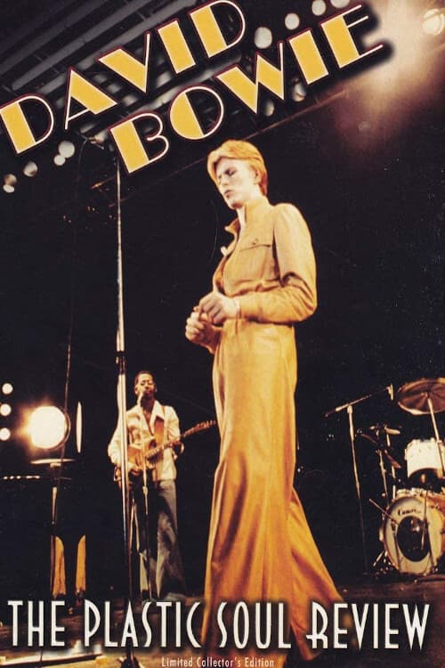 David Bowie - The Plastic Soul Review (2007) poster