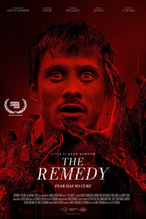 The Remedy poster