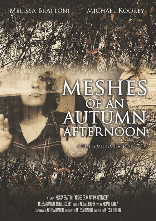 Meshes of an Autumn Afternoon poster