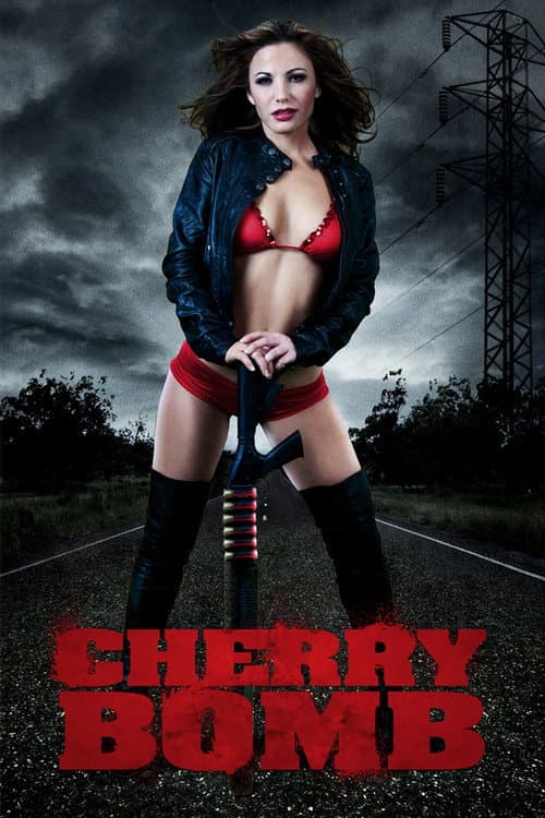 Cherry Bomb (2011) poster