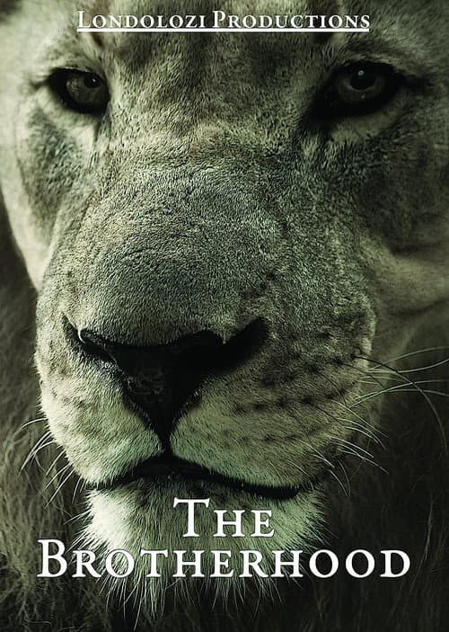 The Brotherhood (2000) poster