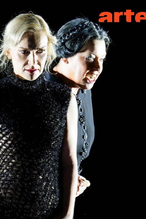 Richard Strauss: The Woman without a Shadow  @ Aix-en-Provence Festival 2026 (2026) poster