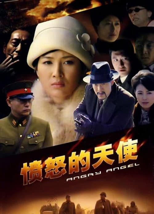 愤怒的天使 (2009) poster
