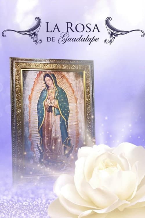 La Rosa De Guadalupe (2020) poster