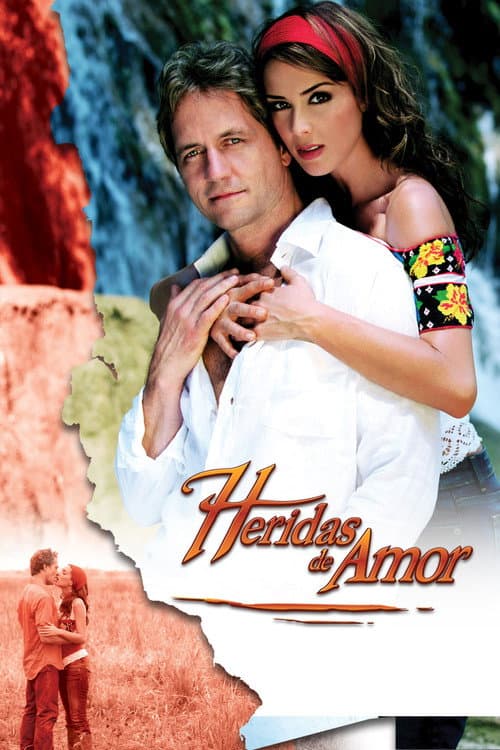 Wounds of Love (2006) poster