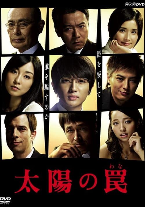 太陽の罠 (2013) poster