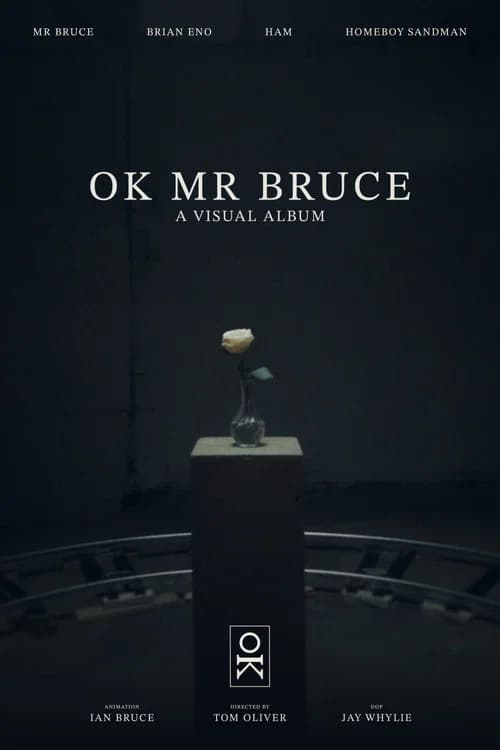 OK MR BRUCE poster