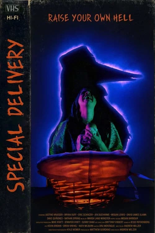 Special Delivery poster