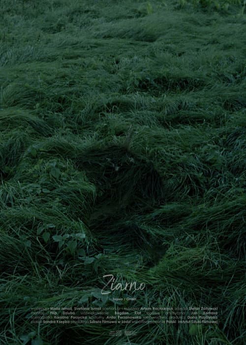 Grain (2023) poster