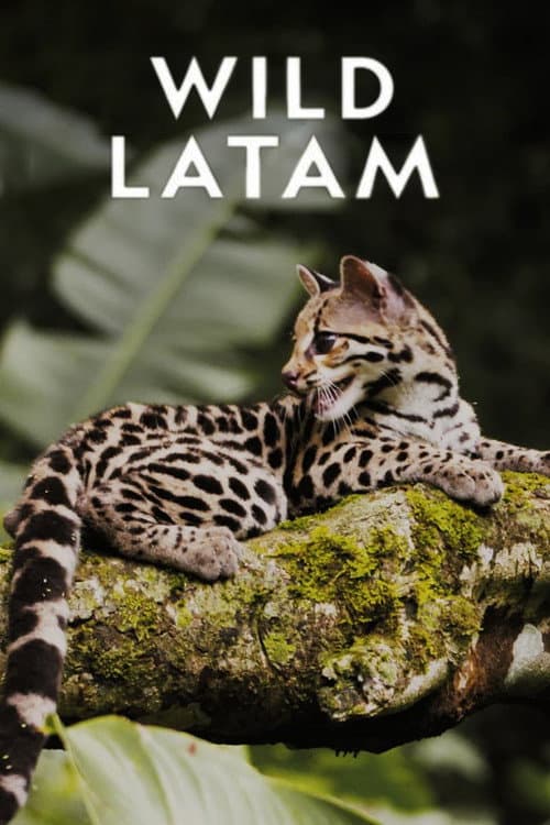 Wild Latam (2020) poster