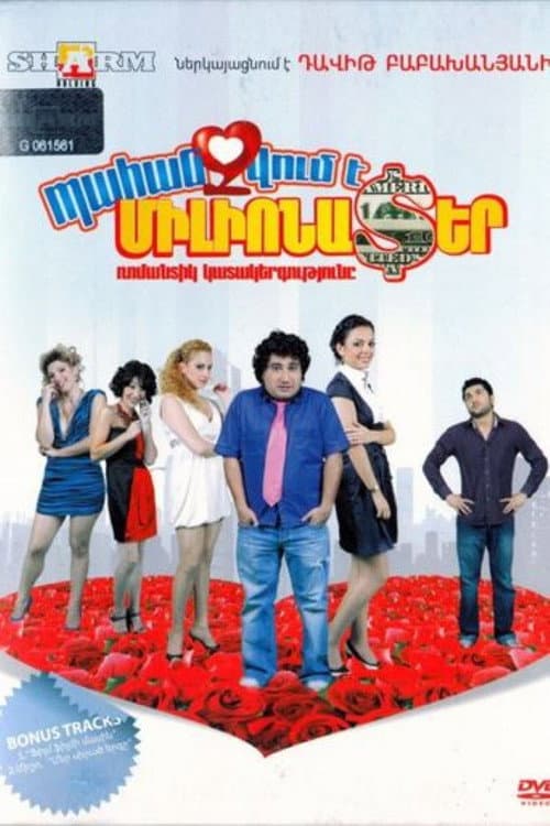 A Millionaire Wanted (2010) poster