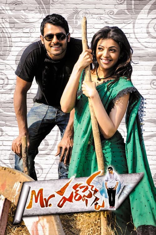 Mr. Perfect (2011) poster