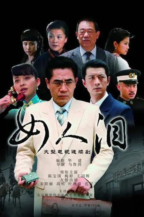 女人泪 (2008) poster