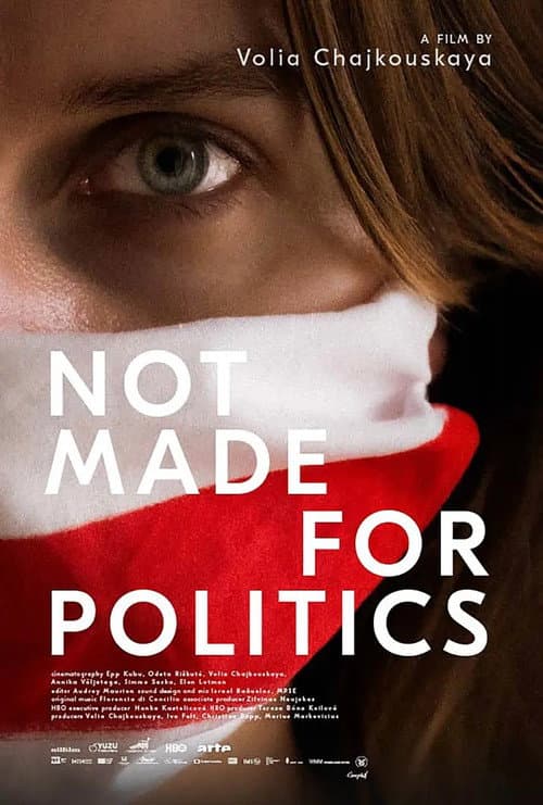Not Made for Politics (2025) poster