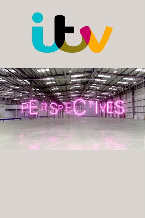 Perspectives (2011) poster